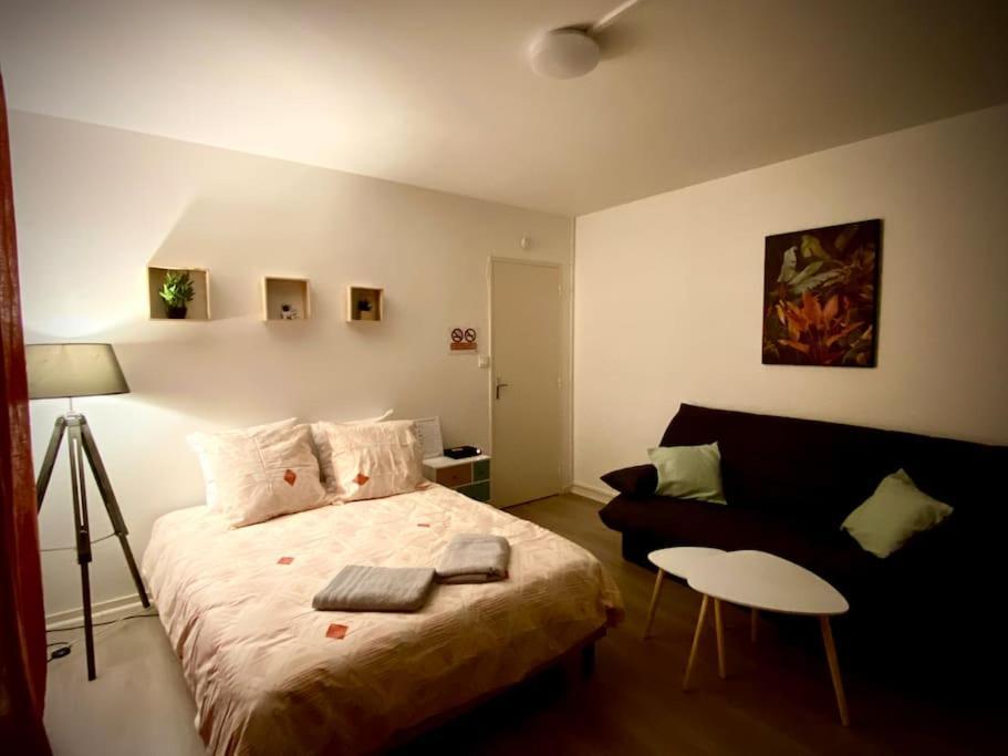 T2 Cosy Proche Hopital + Parking Gratuit Sur Place Apartment